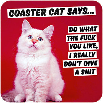 Coaster cat says coaster