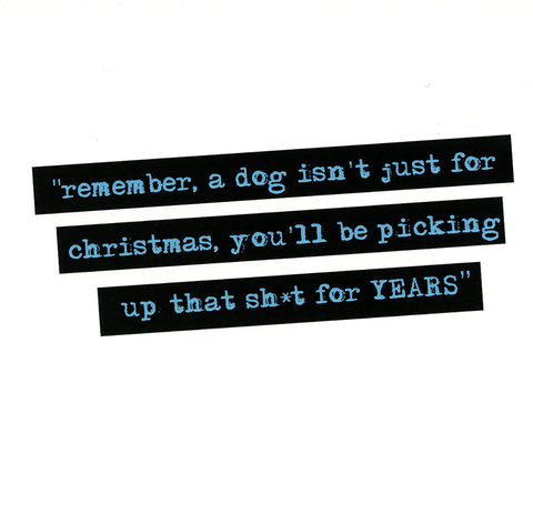 A dog isnt just for christmas