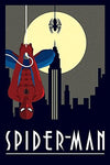 Spiderman deco canvas