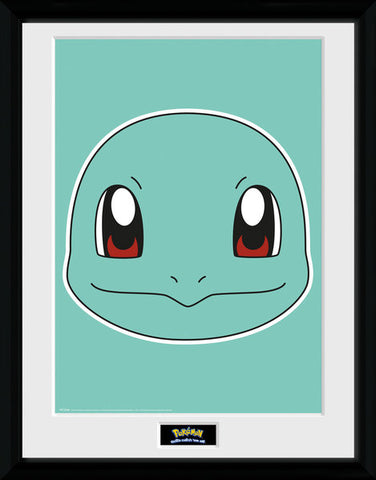 Squirtle framed print