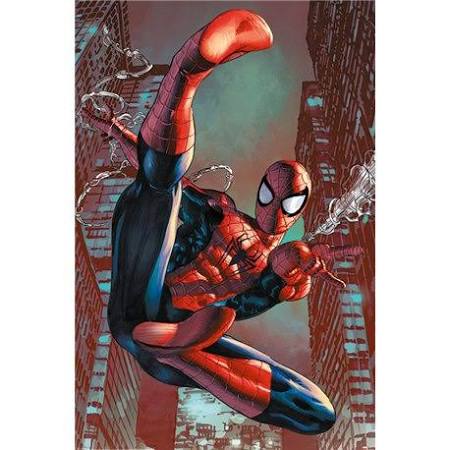 Web sling Spiderman poster