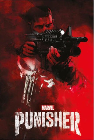 The Punisher aim maxi poster