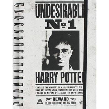 Undesirable Harry Potter notebook