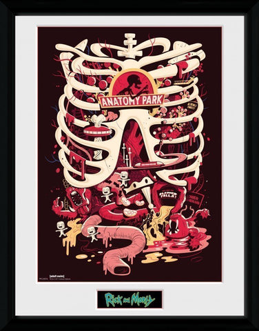 SALE R&M Anatomy Park print