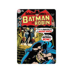 Batman & Robin magnet