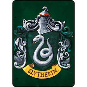 Harry Potter Slytherin magnet