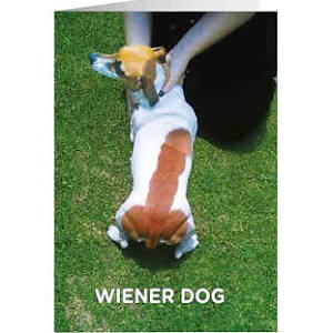 Wiener dog card