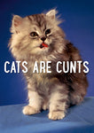 Cats are cunts card