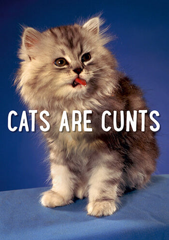 Cats are cunts card