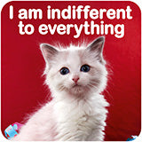 Indifferent Cat Coaster