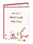 Merry Christmas big tits card