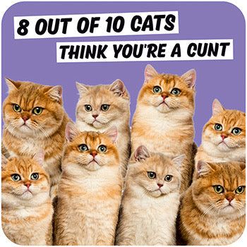8 out of 10 cats coaster