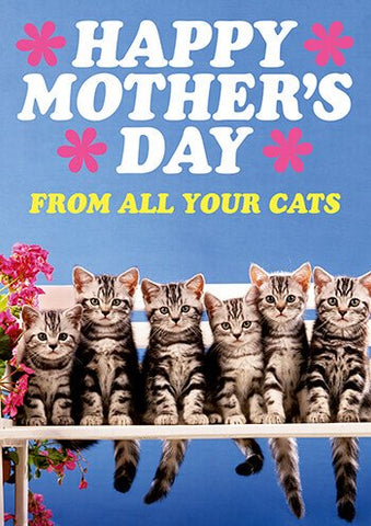 Mothers Day from the cats card