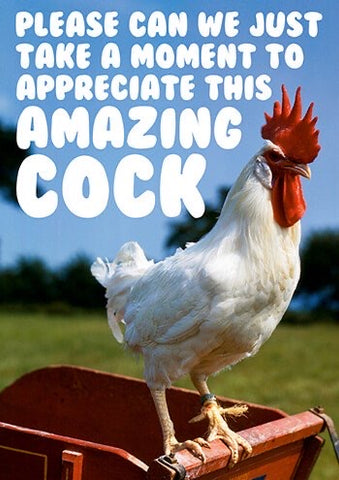 Amazing cock card
