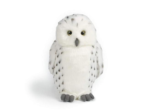 Medium snowy hedwig owl