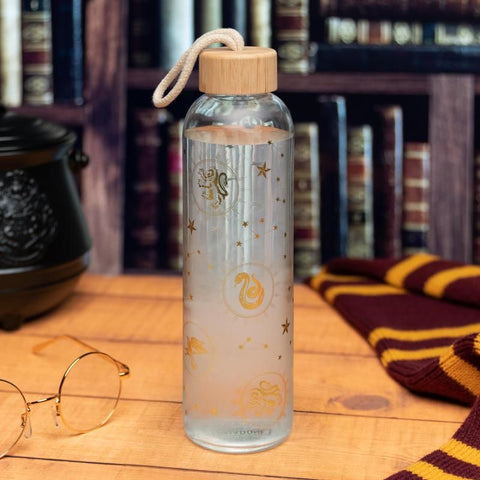 Harry Potter Constellation glass water b